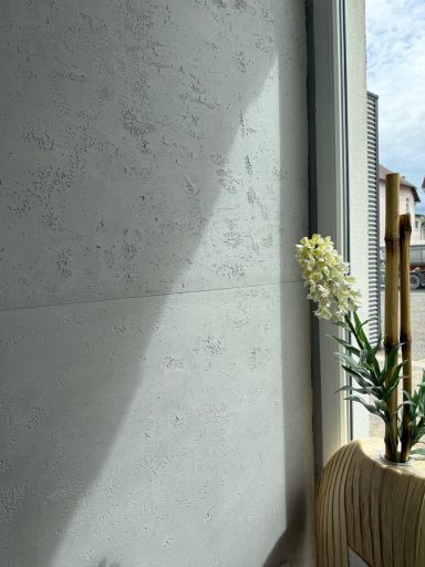 Eine blühende Pflanze steht vor einer helle Wand mit Schatten.
